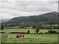 Dyffryn y Gyffin / The Gyffin Valley