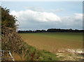 Chalky soil near Hinton Parva