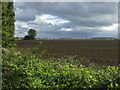 Farmland near Tye Farm