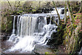 Crackpot Falls Haverdale Beck