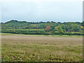 Valley above Chesham