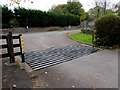 Cattle grid on Rodborough Common