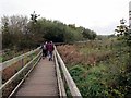 Llwybr Newton Path