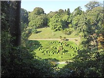 SW7727 : The maze at Glendurgan garden from the east by David Smith
