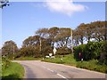SW7731 : Autumn trees at the road junction at Tresooth Bungalow by David Smith