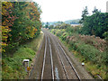 Railway south of Cobblershill Lane bridge