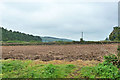 Ploughed field