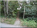 Footpath into Knepp Park