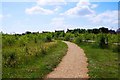 Footpath in Kilkenny Lane Country Park, Carterton, Oxon