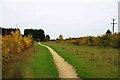 Footpath in Kilkenny Lane Country Park, Carterton, Oxon