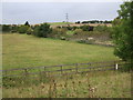 Grazing near Bridge Place Farm