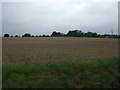 Stubble field near The Grange