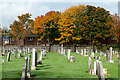 NZ2532 : Gravestones with autumnal trees by Trevor Littlewood