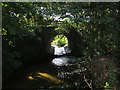 Stour Brook