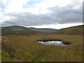 NS8914 : Boggy pool, Lowther Hills by Alan O'Dowd
