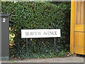 Seaview Avenue sign