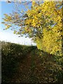 The track to Low House Farm and Emley Park