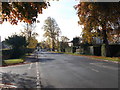 Station Road - viewed from Lyndhurst Road