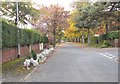 The Avenue - viewed from Nook Gardens