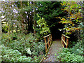 Footbridge south-east of Chesterton, Shropshire