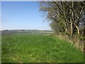 SS7014 : Field boundary, Huntacott by Derek Harper
