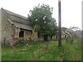 NU0147 : Tree growing in a derelict house, Scremerston Town Farm by Graham Robson