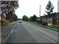 Bus stop and shelter on Mildenhall Road (B1102)