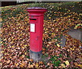 Queen Elizabeth II pillarbox amid dead leaves, Lightpill