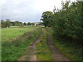 Farm track, Cavenham