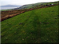 Path across open farmland on the descent to Llwyngwril