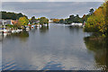 River Thames, Walton-on-Thames