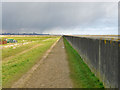 Sea wall, Canvey Island