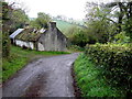 Ruined cottage along Salloon Road