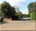 Yeoford Meadows trees and hedges, Yeoford