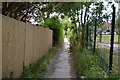 Footpath by Walland Community School