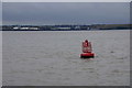 SJ3785 : Marker buoy for the Garston Channel, Otterspool Promenade by Mike Pennington