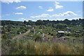 Allotments, South Croydon