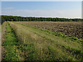 Footpath and field