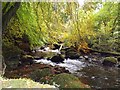 Birks of Aberfeldy in the Autumn