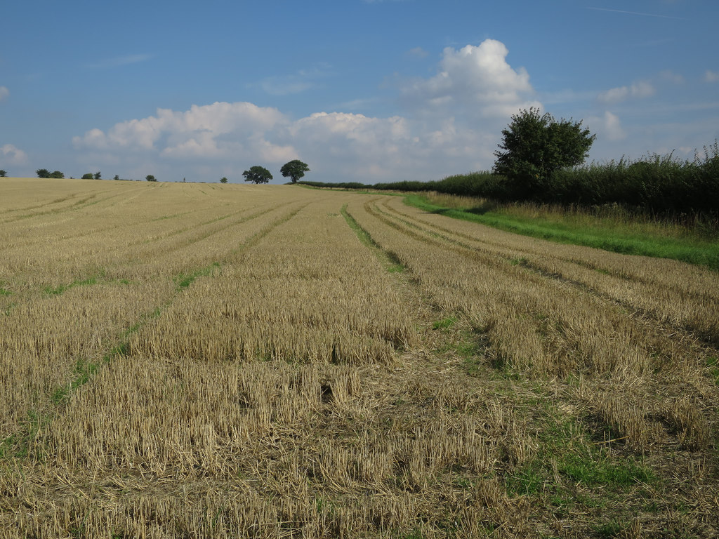 Stubble field © Hugh Venables :: Geograph Britain and Ireland