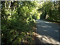 Pont-Shan on the B4313