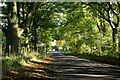 Minor road about to enter Old Eldon