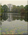 Eccleston Bottom Dam