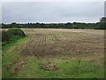 Farmland west of Norwich Road (A140)