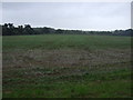 Farmland near Hill House