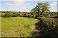 The Little Avon River valley