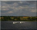 SK7179 : Solar panels south of Retford by Christopher Hilton