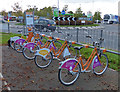 Hirebike docking station on Newark Road