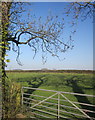 Field on Plain Moor