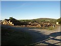 Timber piles at the Cilrhedyn Woodland Centre